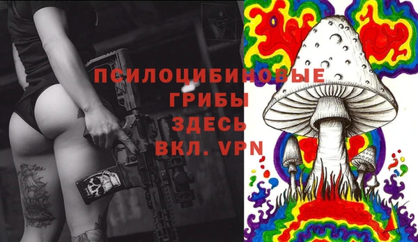 эйфоретик Алексин
