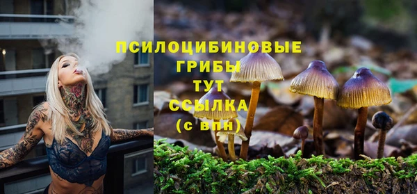эйфоретик Алексин