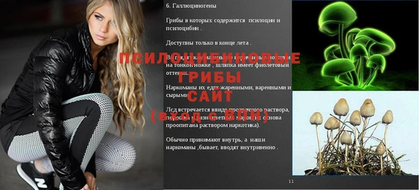 прущий лед Алексеевка