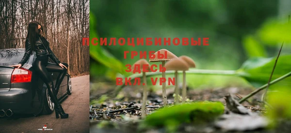 прущие грибы Алзамай