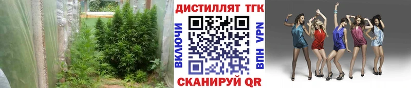 ТГК вейп с тгк  купить  цена  Тейково 