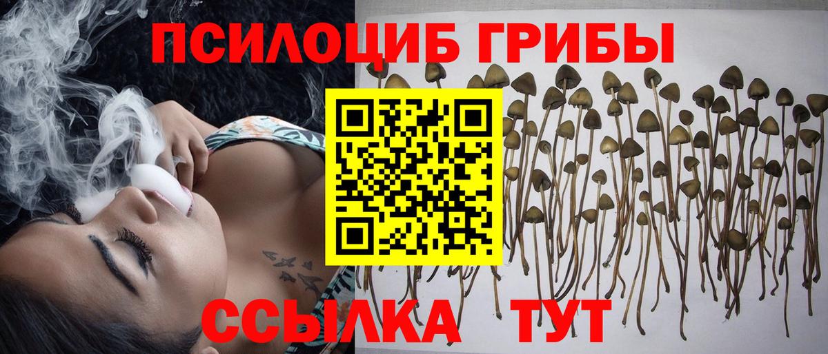 Галлюциногенные грибы прущие грибы  Вход с VPN  Тейково 
