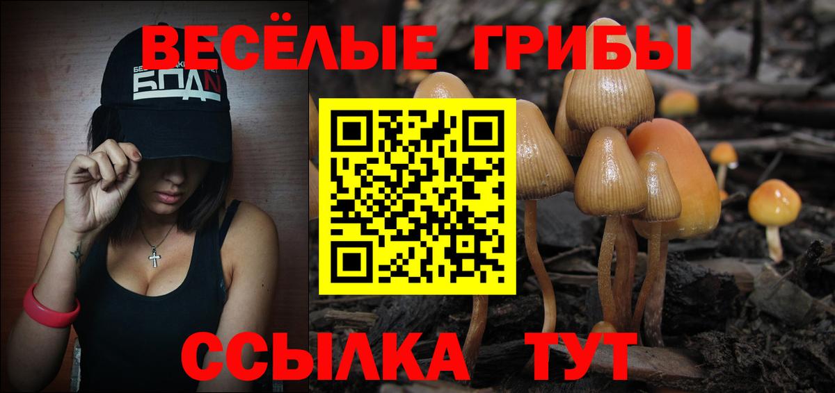 Галлюциногенные грибы Cubensis Тейково